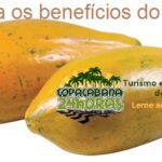 Os benefícios impressionantes do Mamão