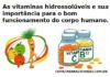 Vitaminas Hidrossolúveis: Benefícios, Sintomas e Exames RJ As vitaminas hidrossolúveis e sua importância para o bom funcionamento do corpo humano.