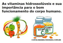 As vitaminas hidrossolúveis e sua importância para o bom funcionamento do corpo humano.