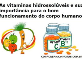 As vitaminas hidrossolúveis e sua importância para o bom funcionamento do corpo humano.