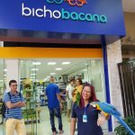 Bicho Bacana pet shop banho e tosa copacabana