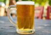 Conheça o processo de produção das cervejas e seus principais ingredientes