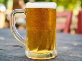 Conheça o processo de produção das cervejas e seus principais ingredientes