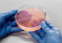 Semana Mundial de Conscientização sobre Antimicrobianos