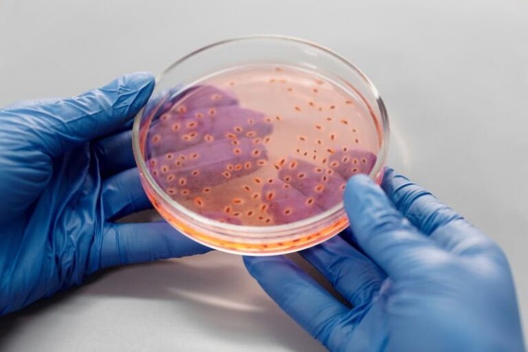Semana Mundial de Conscientização sobre Antimicrobianos Semana Mundial de Conscientização sobre Antimicrobianos