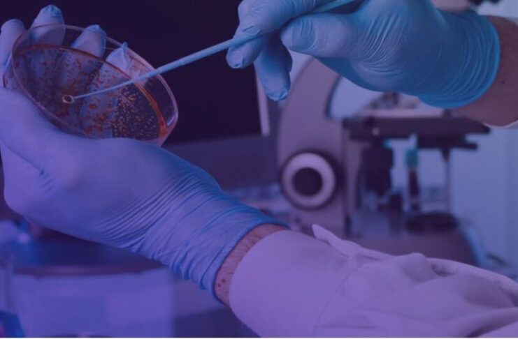 Taxa de positividade dos exames de covid-19 ainda apresentam leve alta nas últimas semanas epidemiológicas, apontam dados reunidos pela SBPC/ML