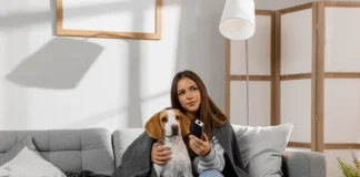 Cachorros podem assistir TV Entenda