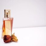 Escolhendo fragrâncias adequadas para cada estação do ano Escolhendo fragrâncias adequadas para cada estação do ano